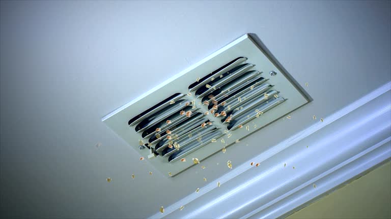 Best Professional Duct Cleaning Services  in Broomfield, CO